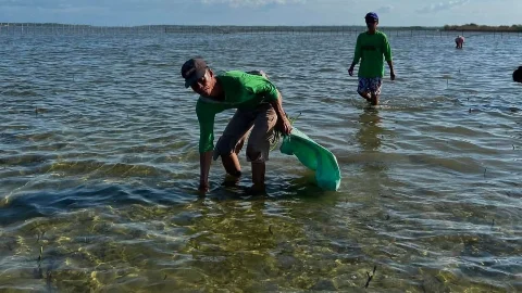 Clean-ups with local residents
