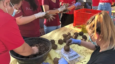 Planting hand-in-hand with communities